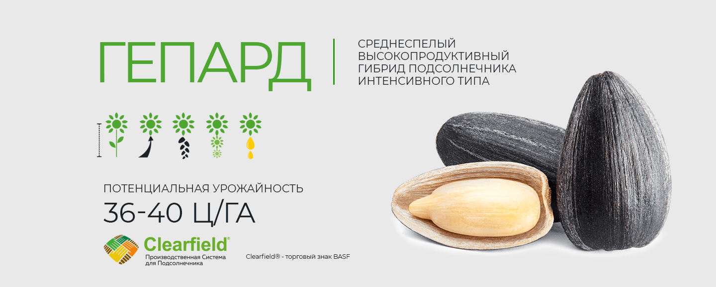 Главная