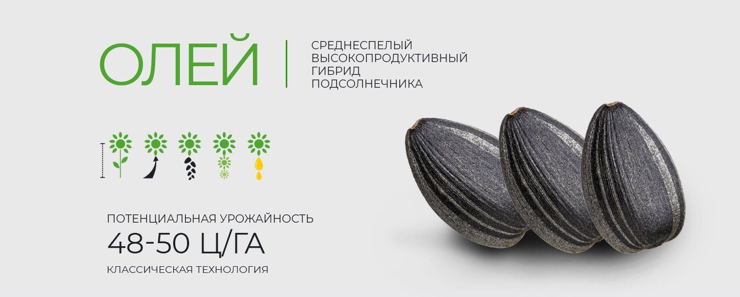 Главная