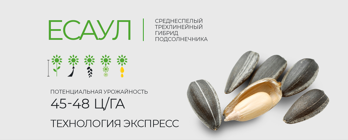 Главная