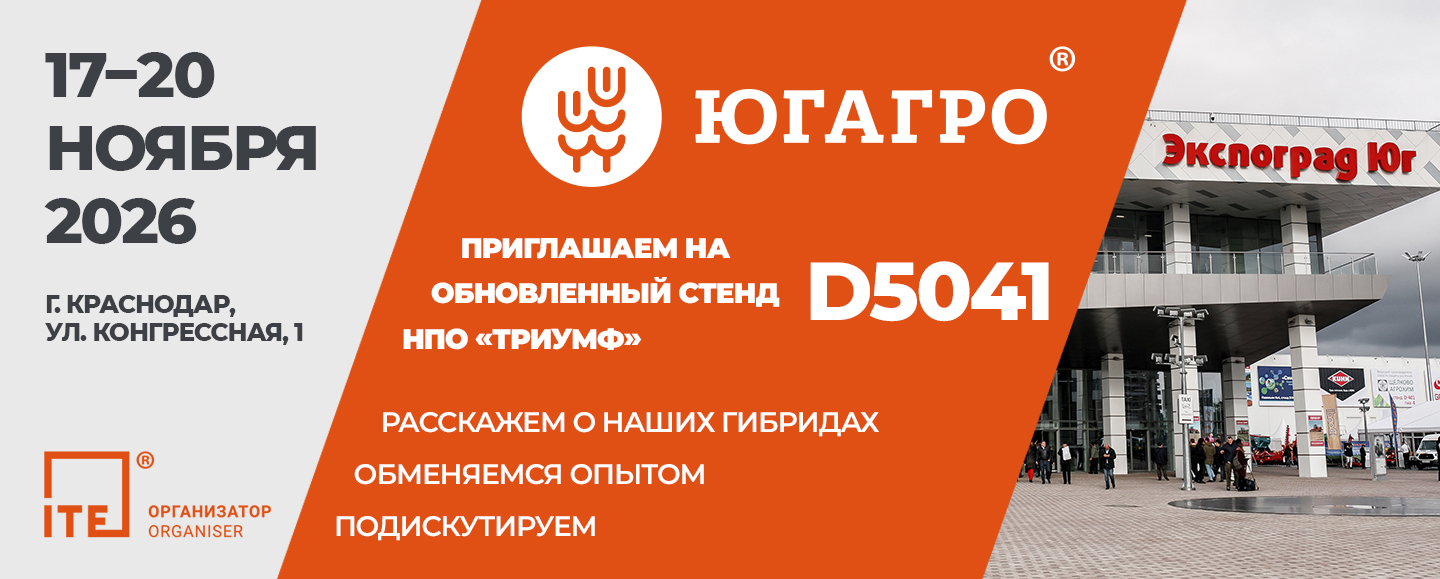 Главная
